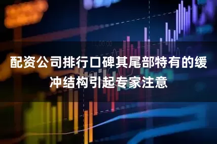 配资公司排行口碑其尾部特有的缓冲结构引起专家注意